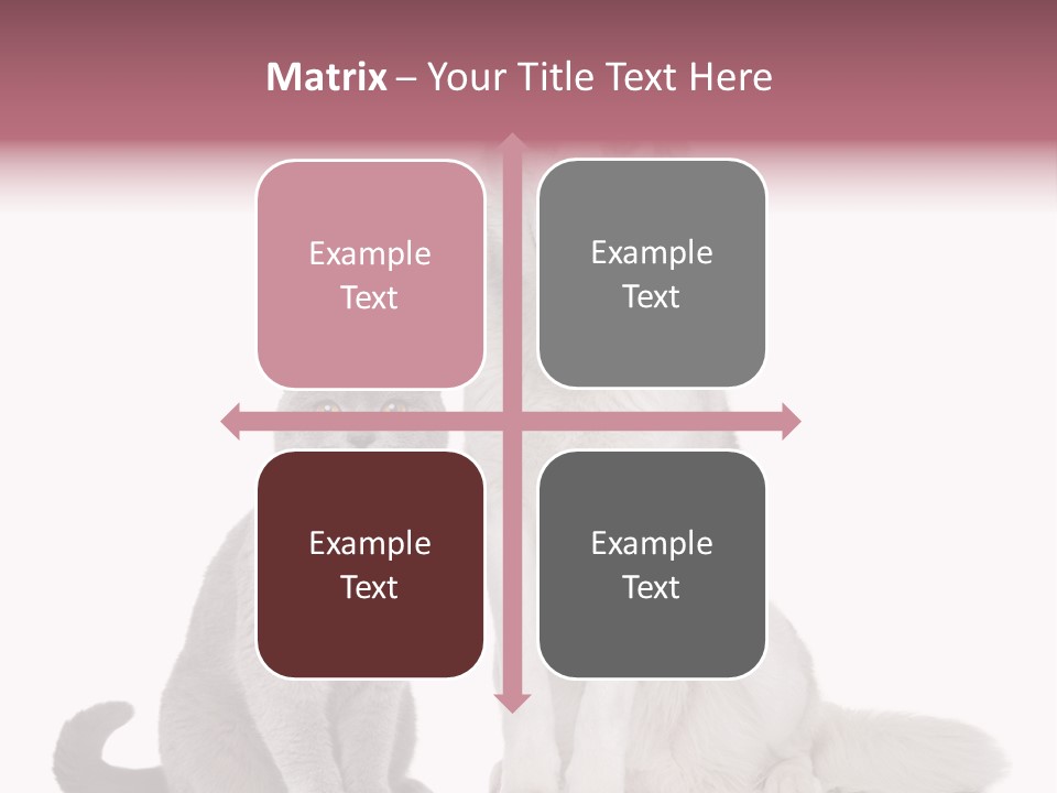 Cat Pair Posing PowerPoint Template