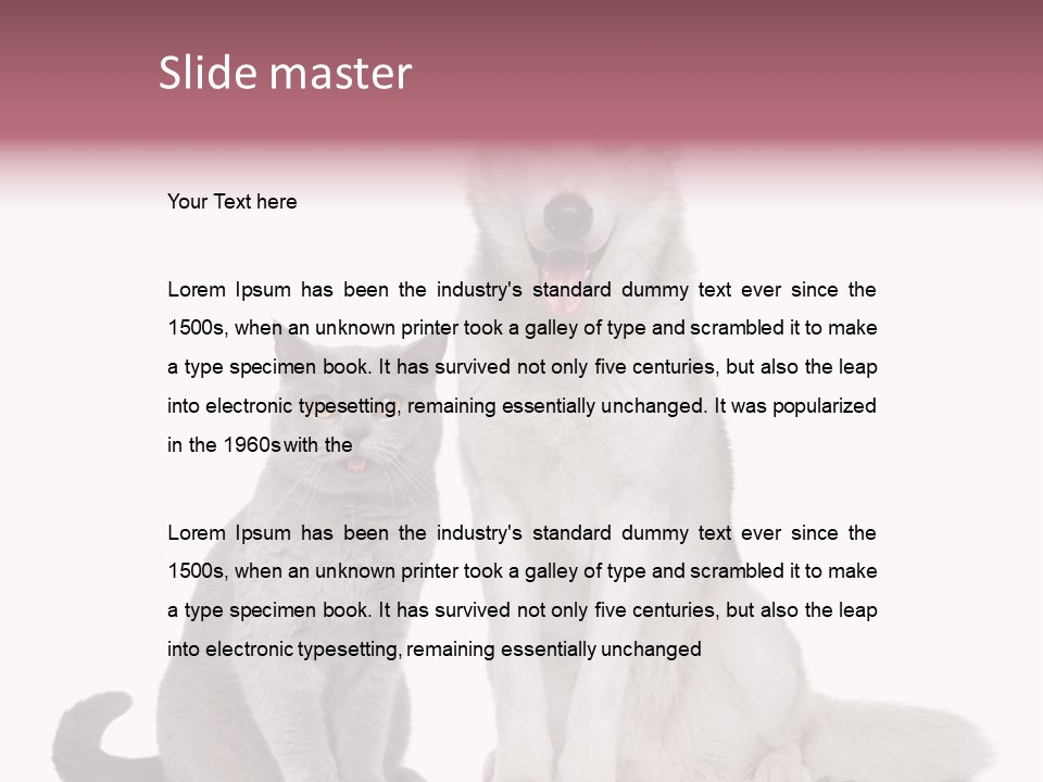 Cat Pair Posing PowerPoint Template