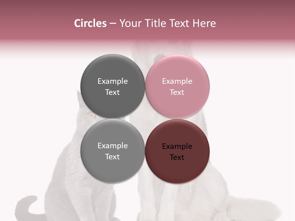 Cat Pair Posing PowerPoint Template