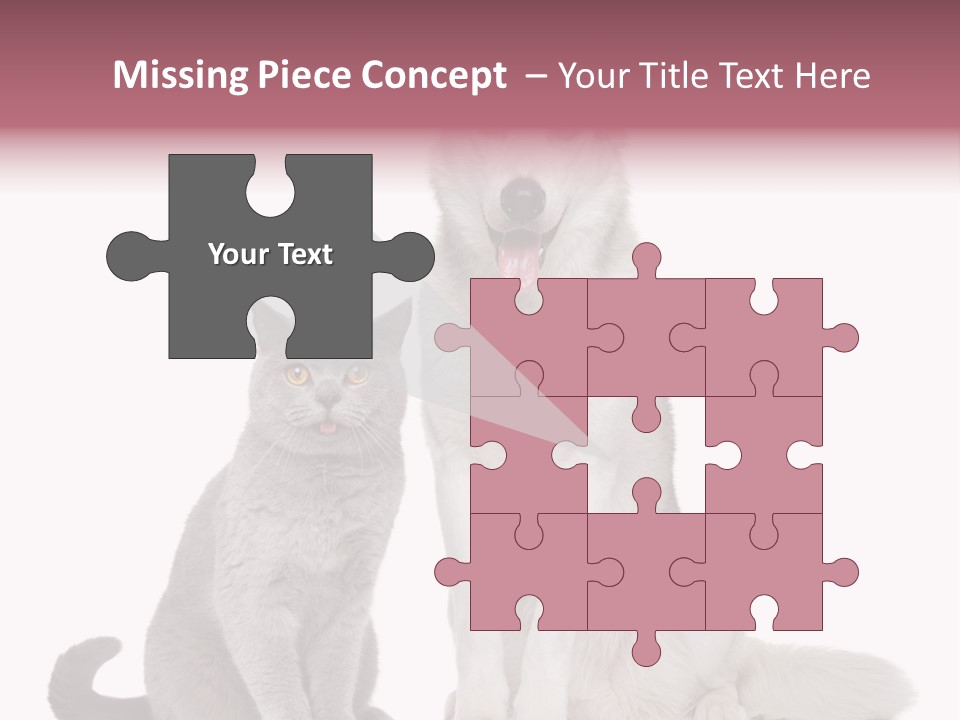 Cat Pair Posing PowerPoint Template
