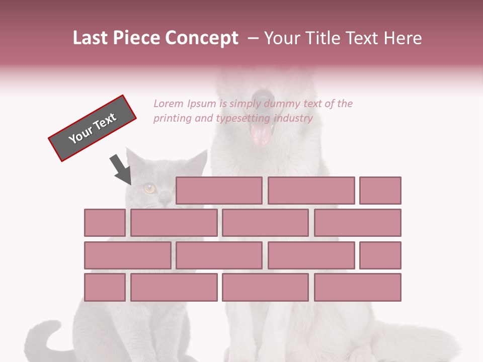 Cat Pair Posing PowerPoint Template