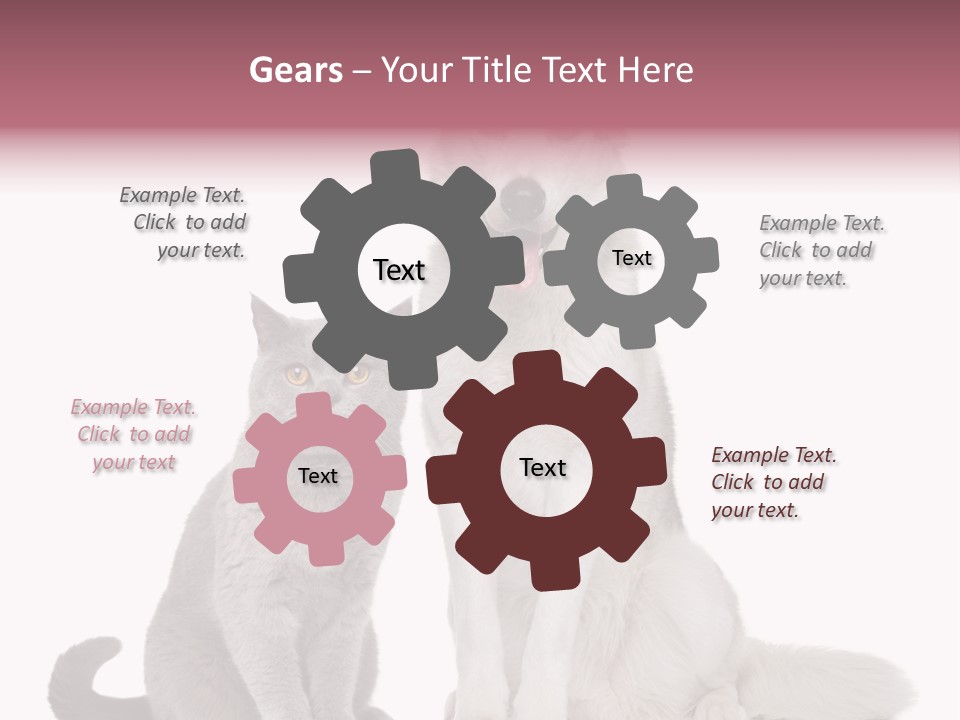 Cat Pair Posing PowerPoint Template