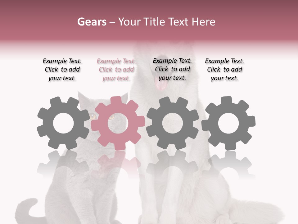 Cat Pair Posing PowerPoint Template