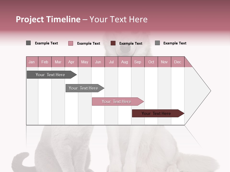 Cat Pair Posing PowerPoint Template