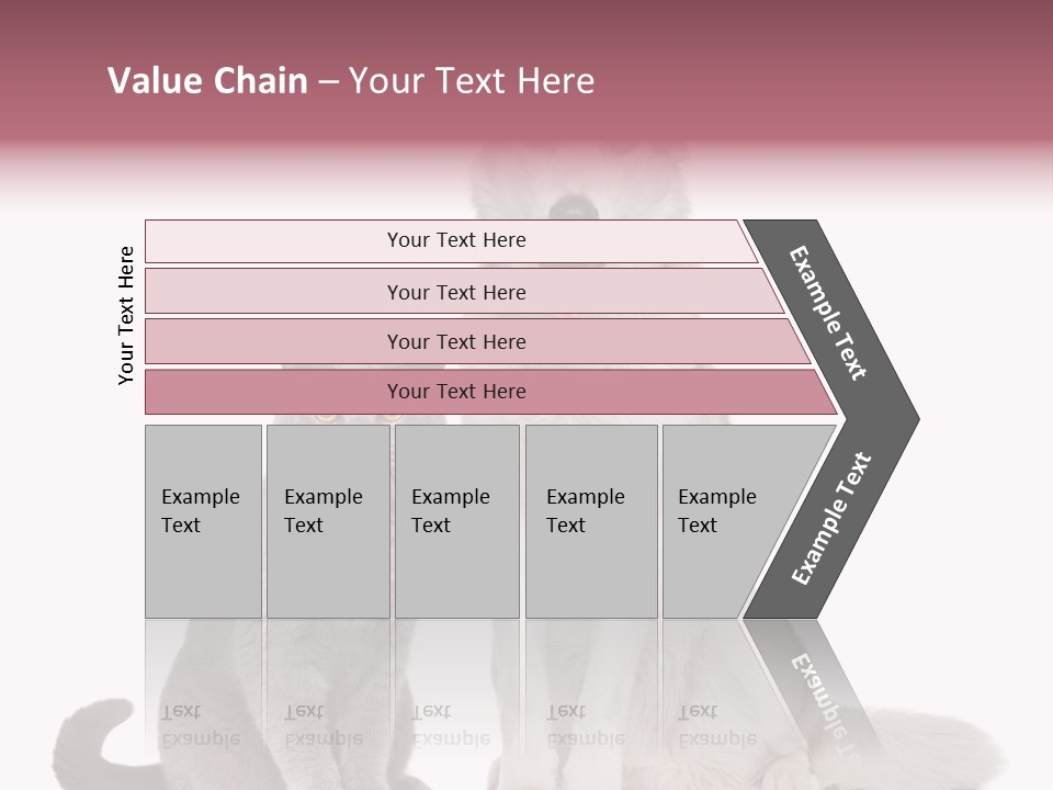Cat Pair Posing PowerPoint Template