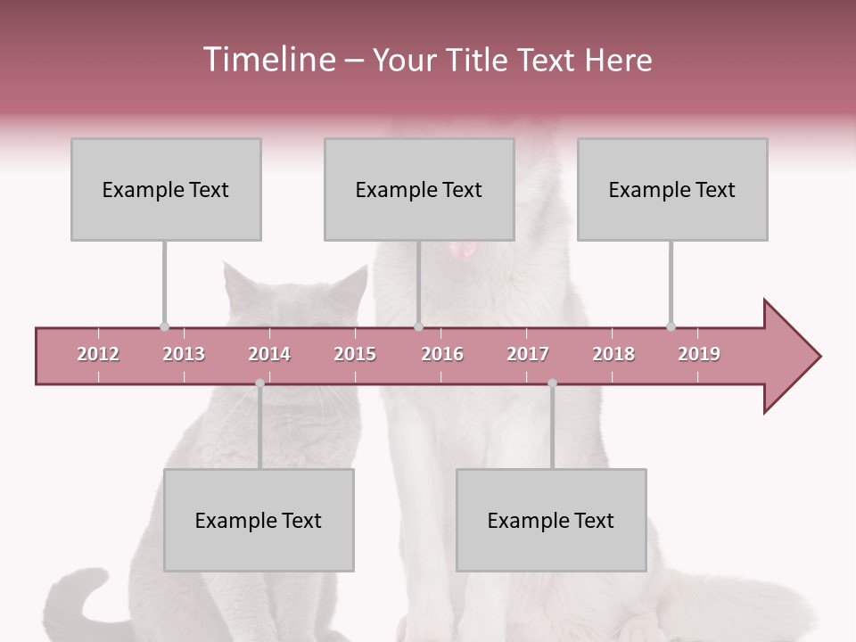 Cat Pair Posing PowerPoint Template