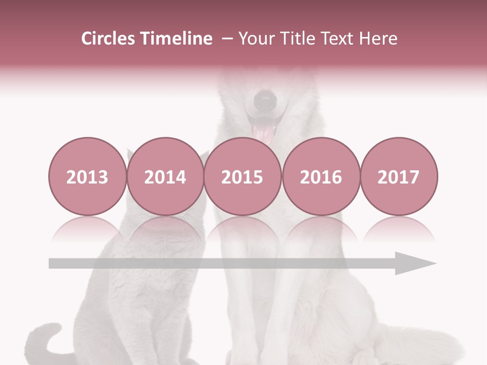 Cat Pair Posing PowerPoint Template