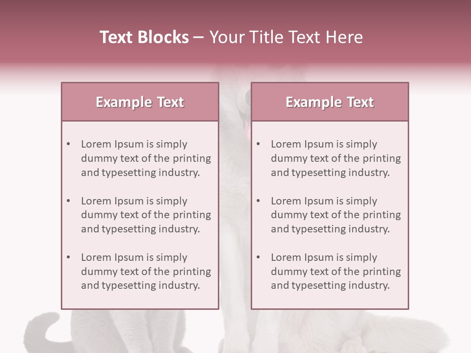 Cat Pair Posing PowerPoint Template