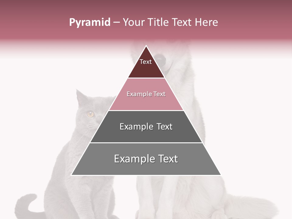 Cat Pair Posing PowerPoint Template