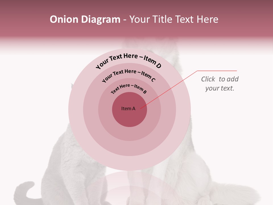 Cat Pair Posing PowerPoint Template