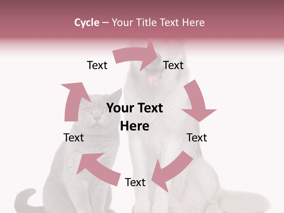Cat Pair Posing PowerPoint Template