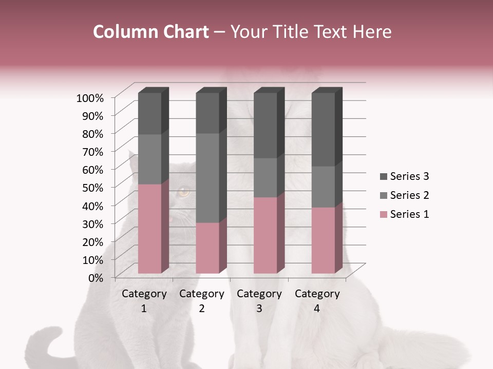 Cat Pair Posing PowerPoint Template