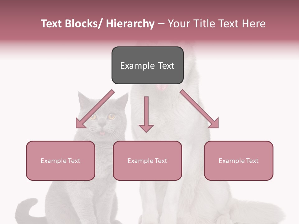 Cat Pair Posing PowerPoint Template