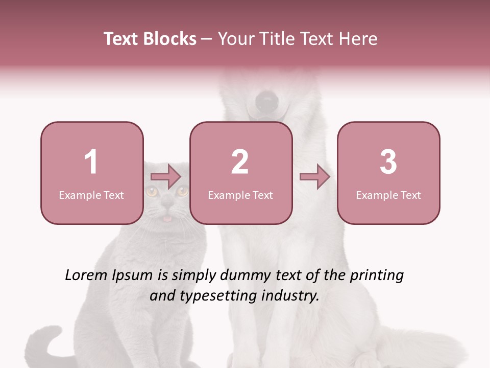 Cat Pair Posing PowerPoint Template