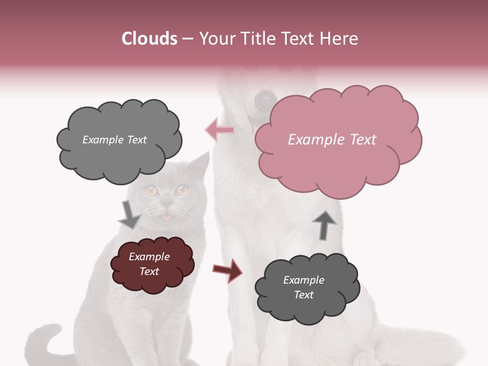 Cat Pair Posing PowerPoint Template