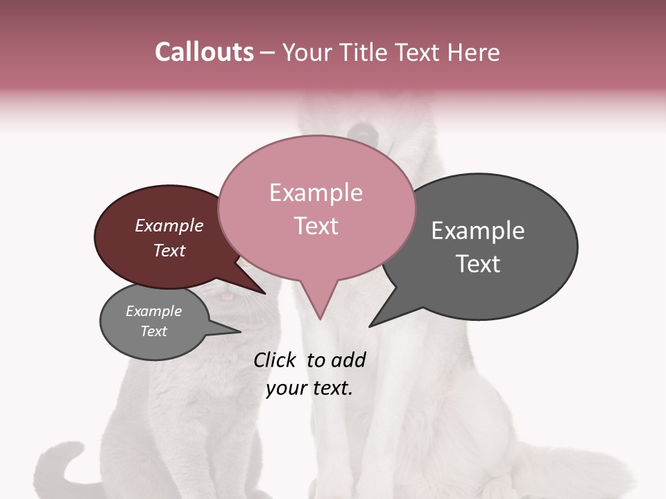 Cat Pair Posing PowerPoint Template