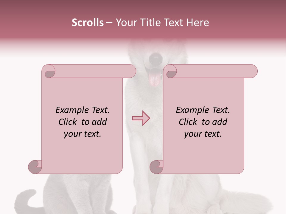 Cat Pair Posing PowerPoint Template