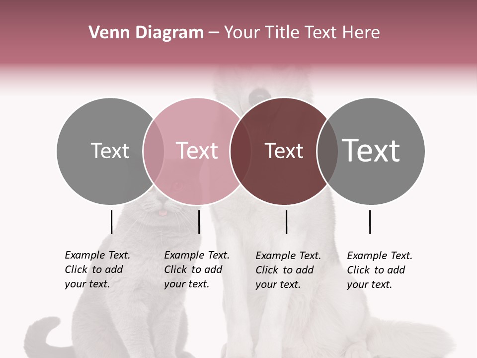 Cat Pair Posing PowerPoint Template