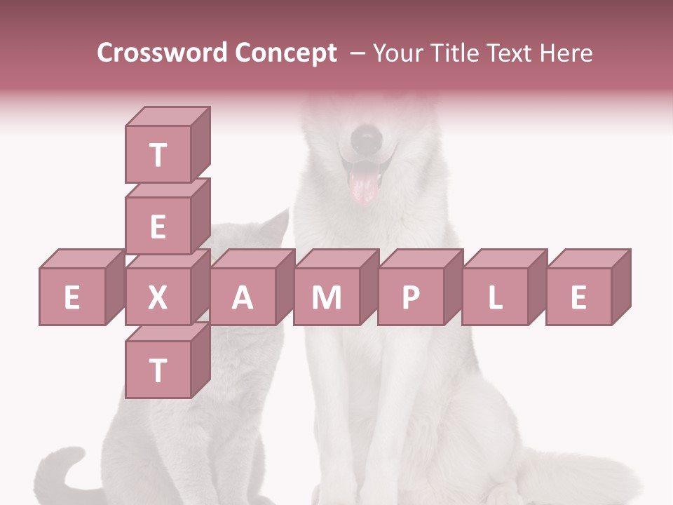 Cat Pair Posing PowerPoint Template