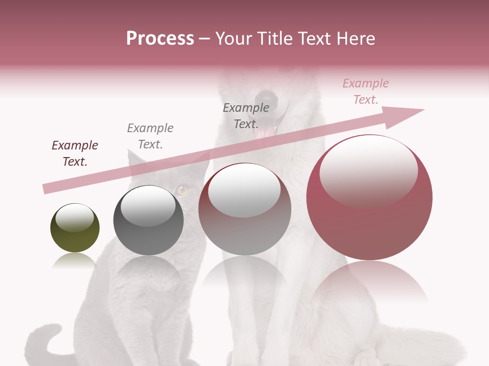 Cat Pair Posing PowerPoint Template