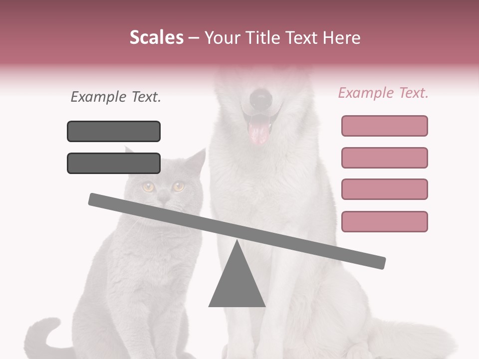 Cat Pair Posing PowerPoint Template