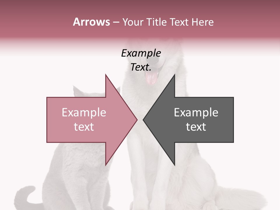 Cat Pair Posing PowerPoint Template