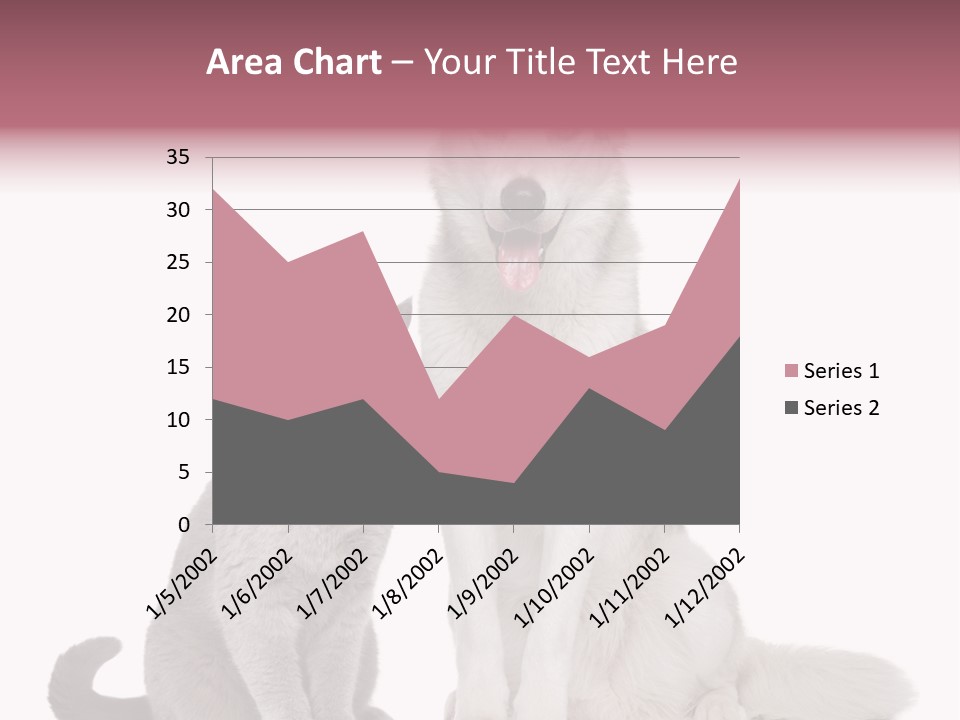 Cat Pair Posing PowerPoint Template