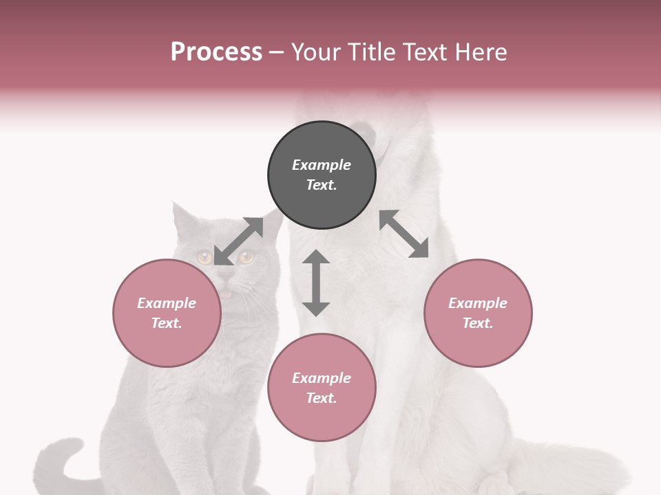 Cat Pair Posing PowerPoint Template