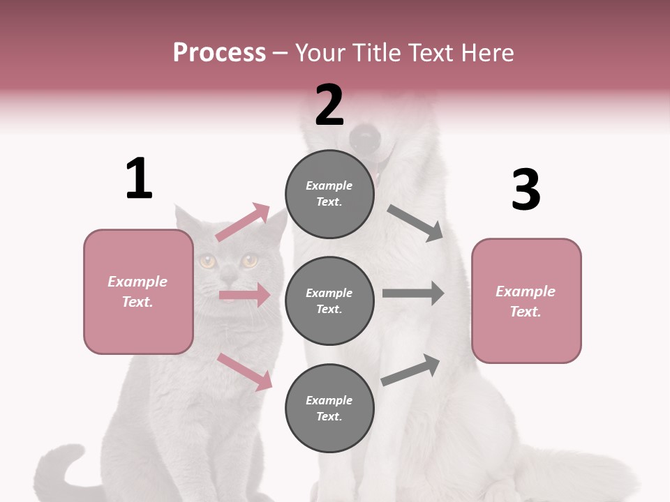 Cat Pair Posing PowerPoint Template