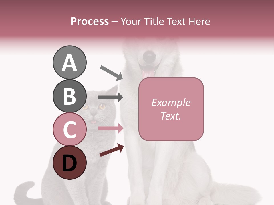 Cat Pair Posing PowerPoint Template