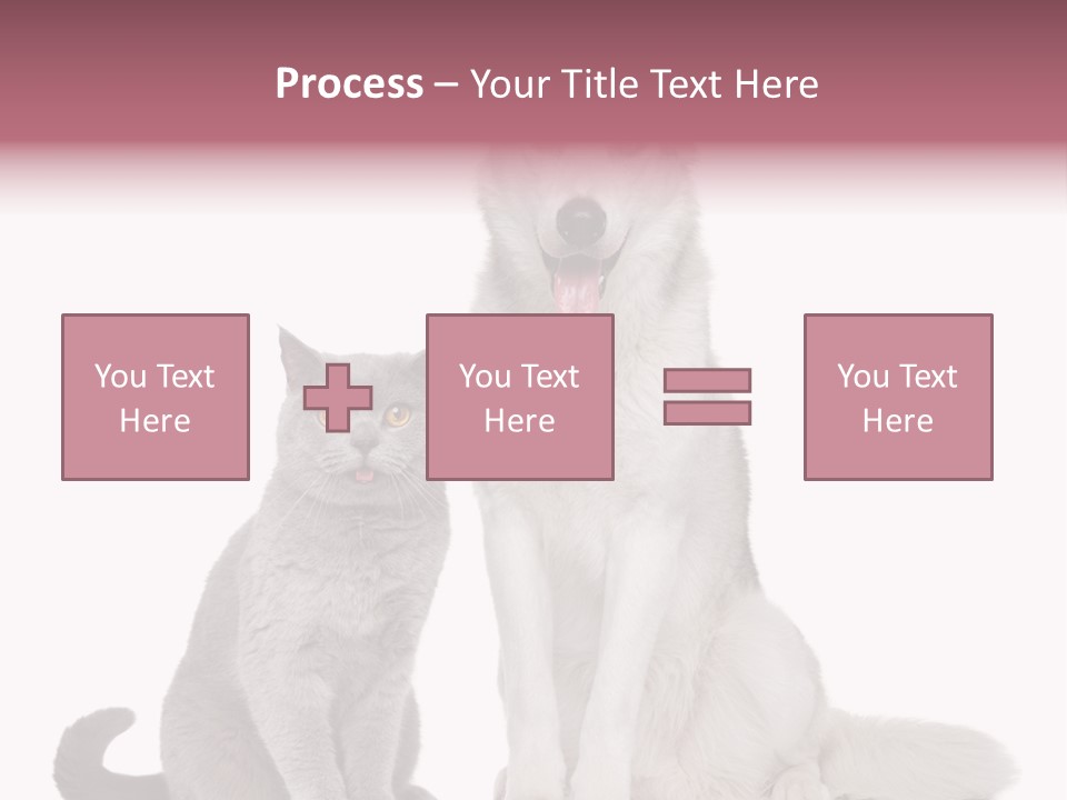 Cat Pair Posing PowerPoint Template