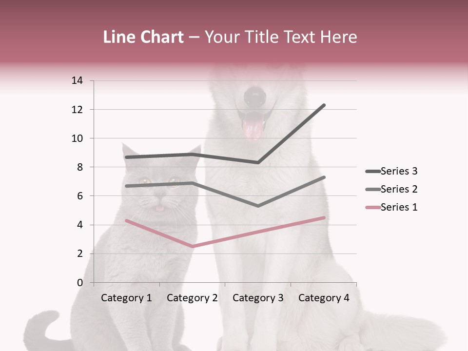 Cat Pair Posing PowerPoint Template