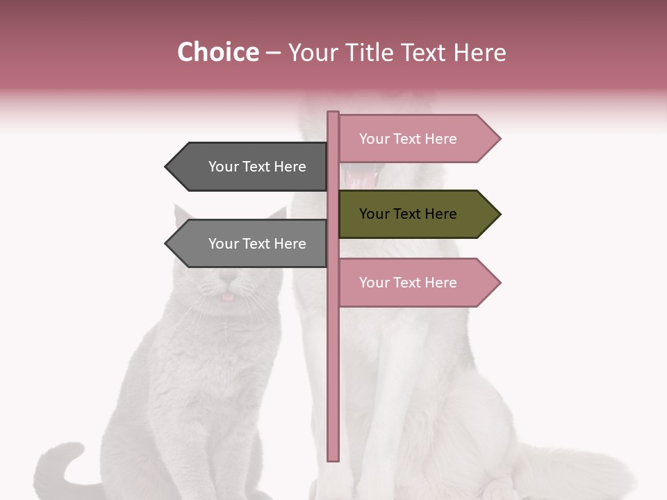 Cat Pair Posing PowerPoint Template