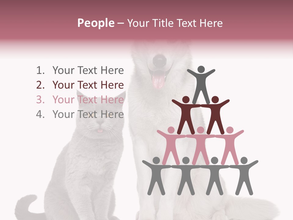 Cat Pair Posing PowerPoint Template