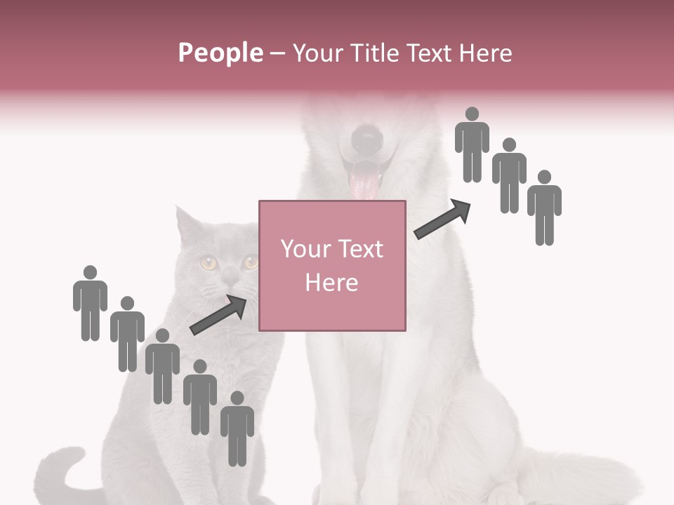 Cat Pair Posing PowerPoint Template