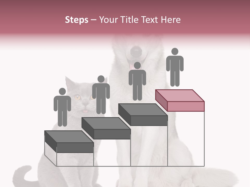 Cat Pair Posing PowerPoint Template