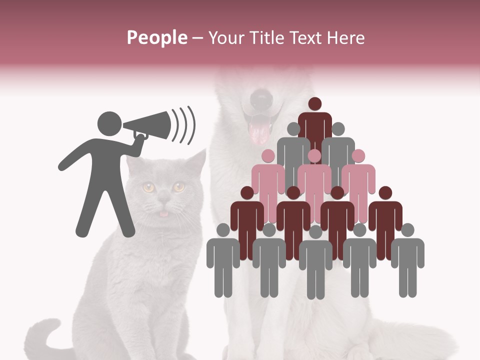 Cat Pair Posing PowerPoint Template