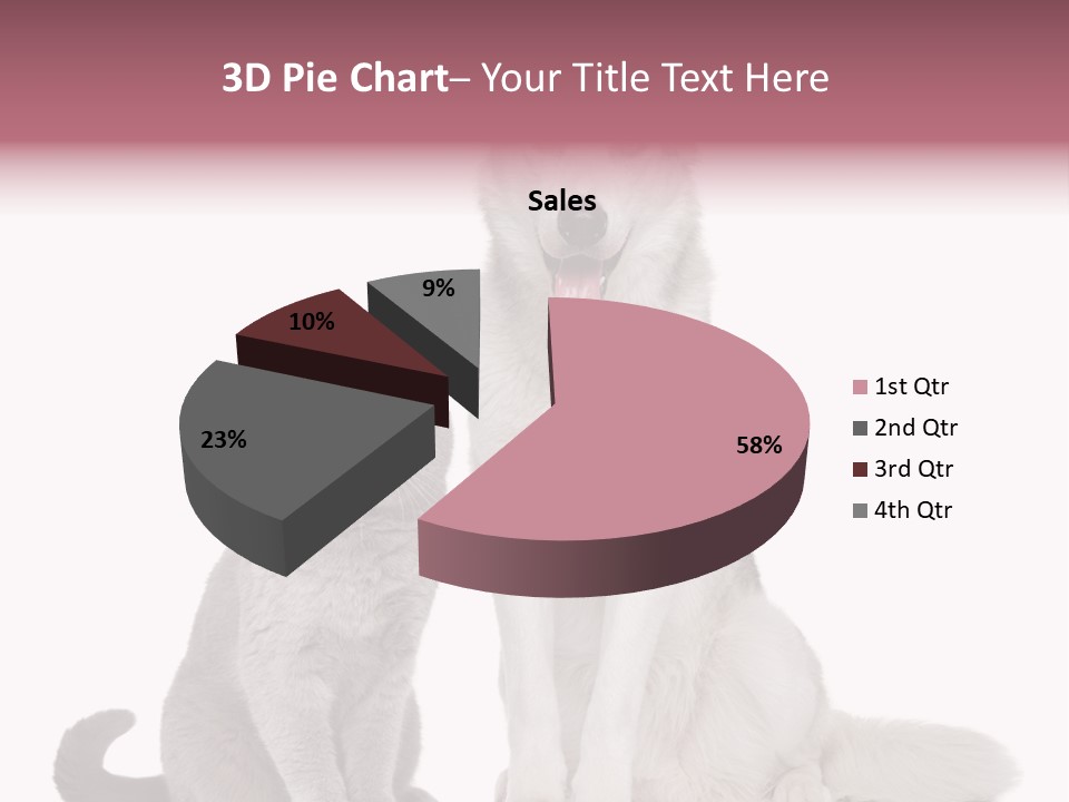 Cat Pair Posing PowerPoint Template