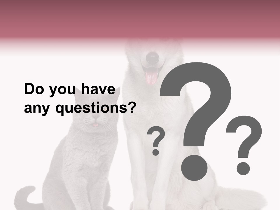 Cat Pair Posing PowerPoint Template