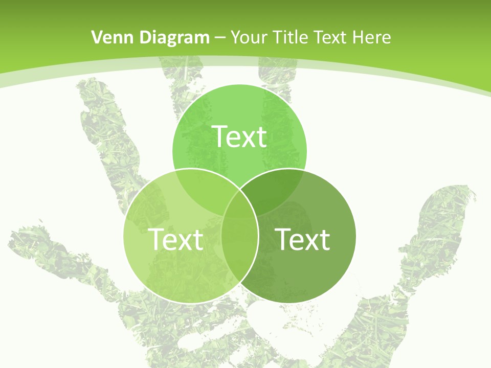 Room Toon Corporation PowerPoint Template