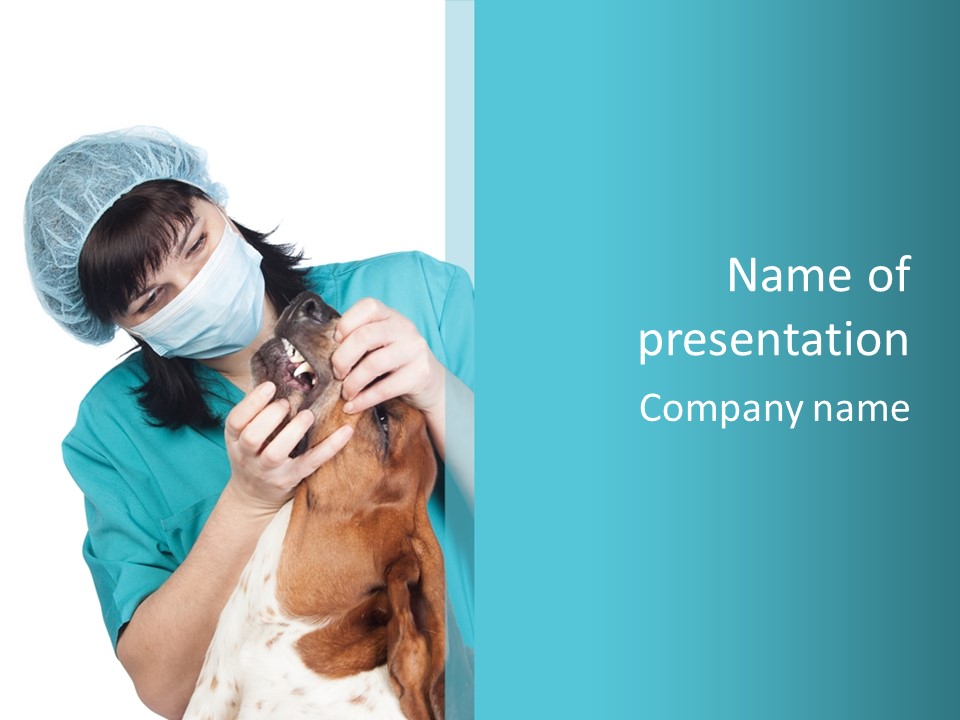 Animal Canine Examination PowerPoint Template