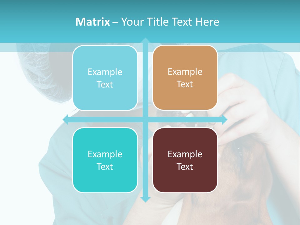 Animal Canine Examination PowerPoint Template