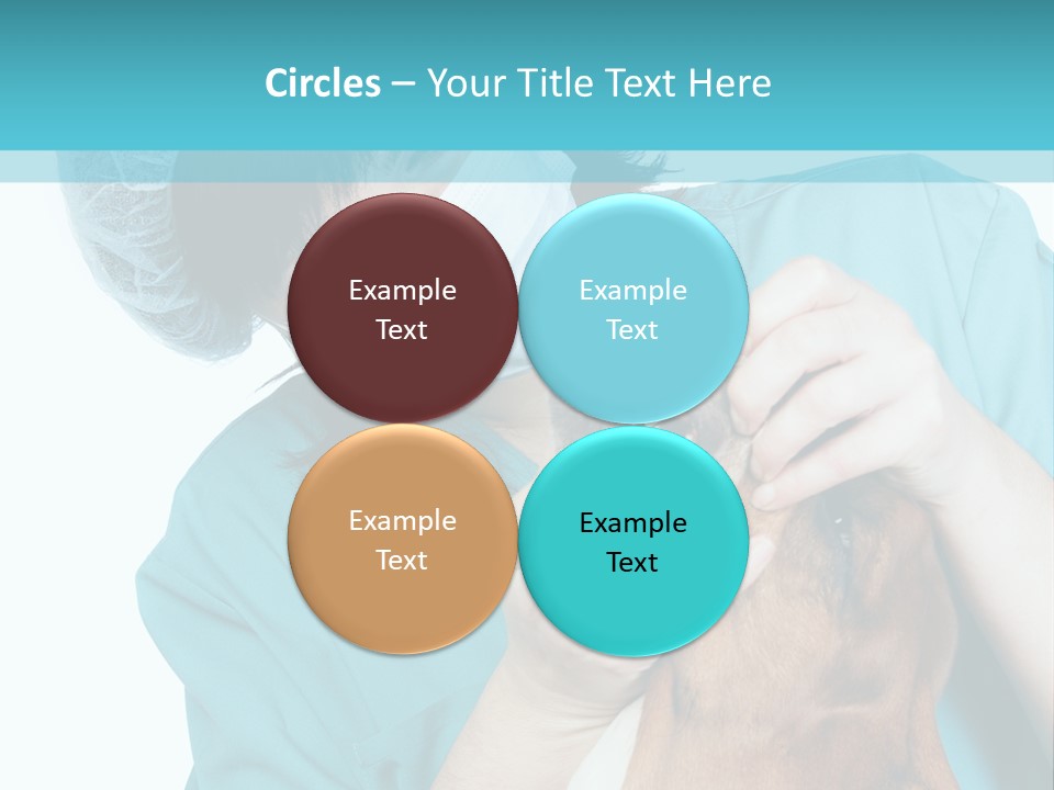 Animal Canine Examination PowerPoint Template