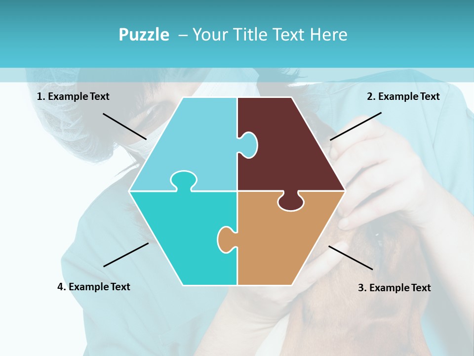 Animal Canine Examination PowerPoint Template