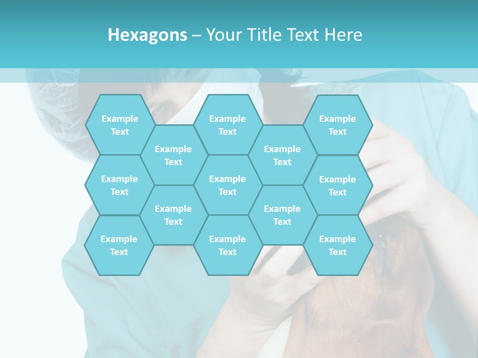 Animal Canine Examination PowerPoint Template