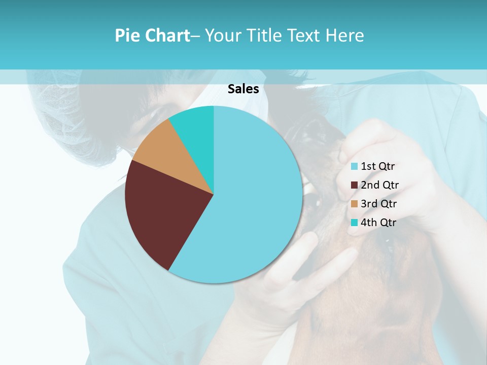 Animal Canine Examination PowerPoint Template