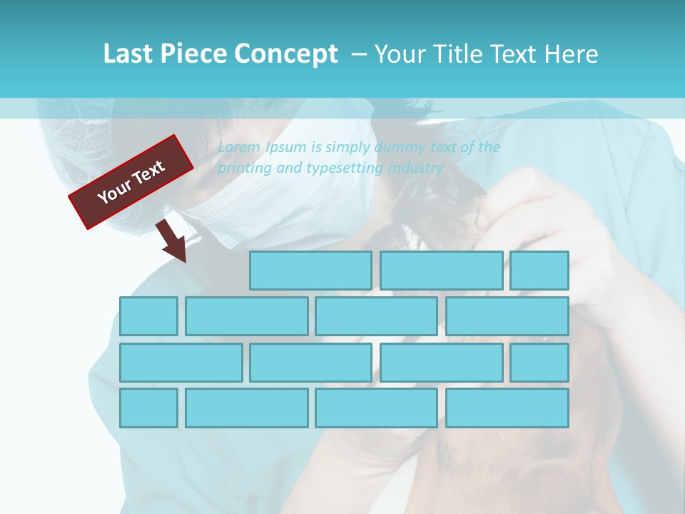 Animal Canine Examination PowerPoint Template