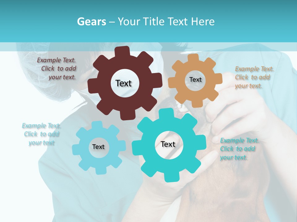 Animal Canine Examination PowerPoint Template