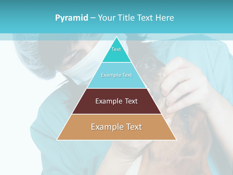 Animal Canine Examination PowerPoint Template