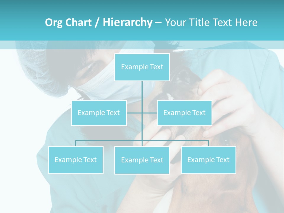 Animal Canine Examination PowerPoint Template